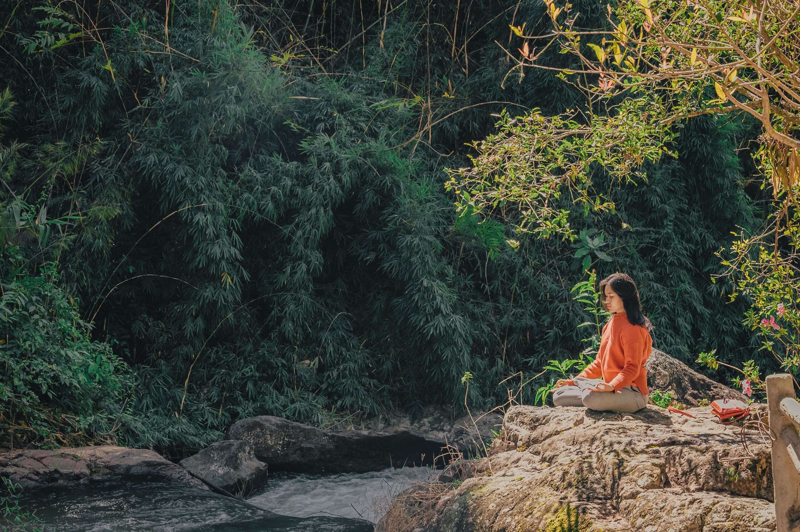 10 Reasons to Learn Yoga in Rishikesh India Over Any Other Place - Yoga